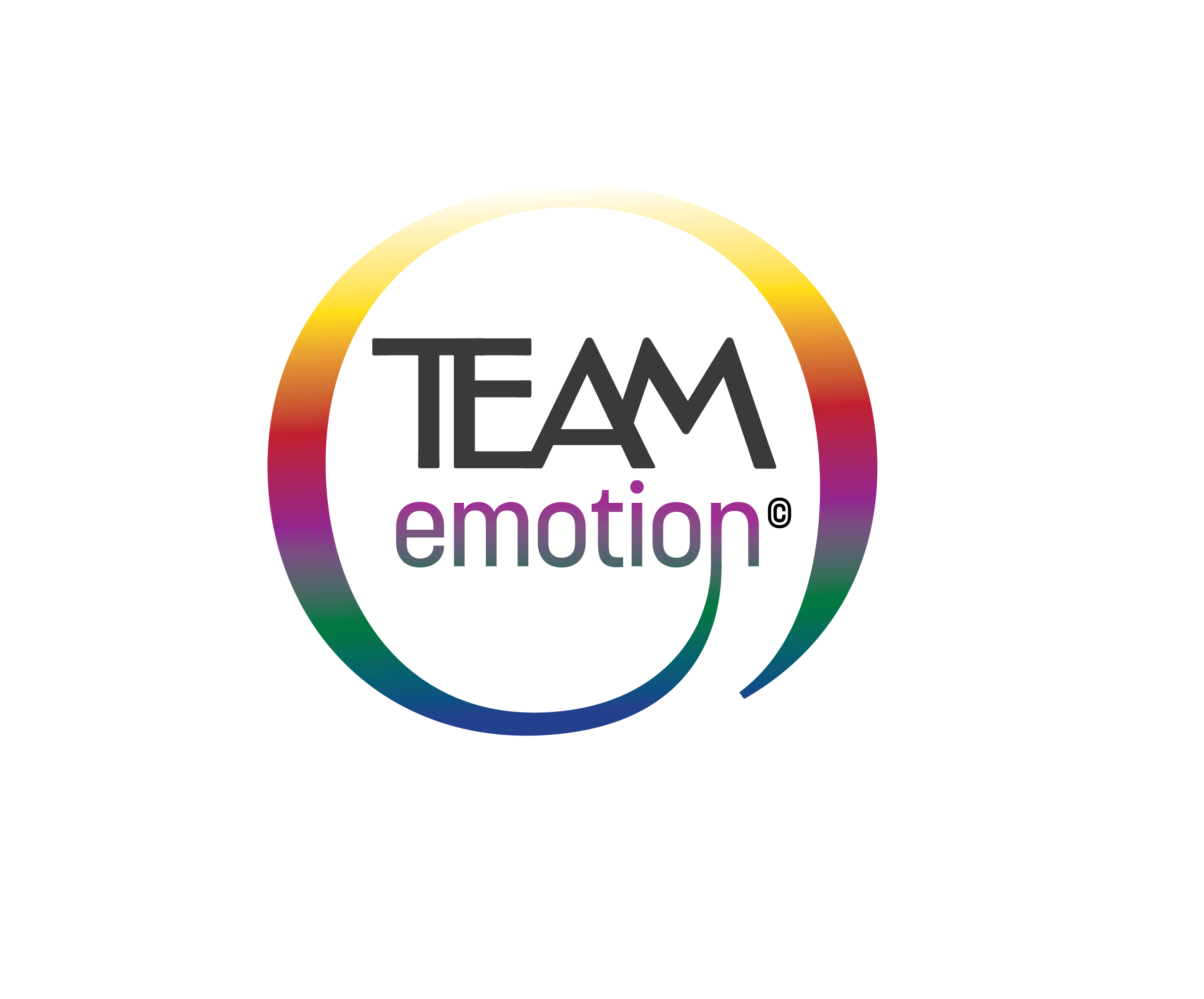 TEAM Emotion - Professional training provider specializing in corporate training