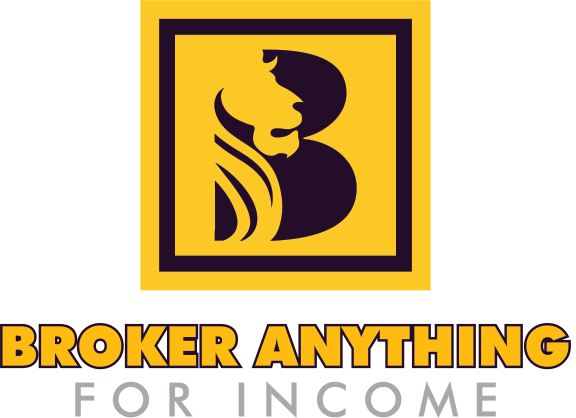 Broker Anything for Income - Professional training provider specializing in corporate training