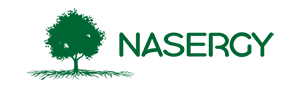 Nasergy - Professional training provider specializing in corporate training