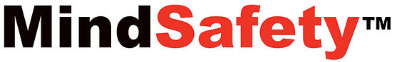 MINDSAFETY INTERNATIONAL LIMITED - Professional training provider specializing in corporate training