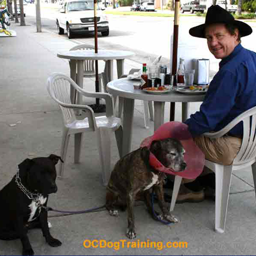 Andrew Ledford - Professional training provider specializing in Financials and Real Estate