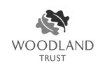 Outrageous Insight - Professional training provider specializing in corporate training