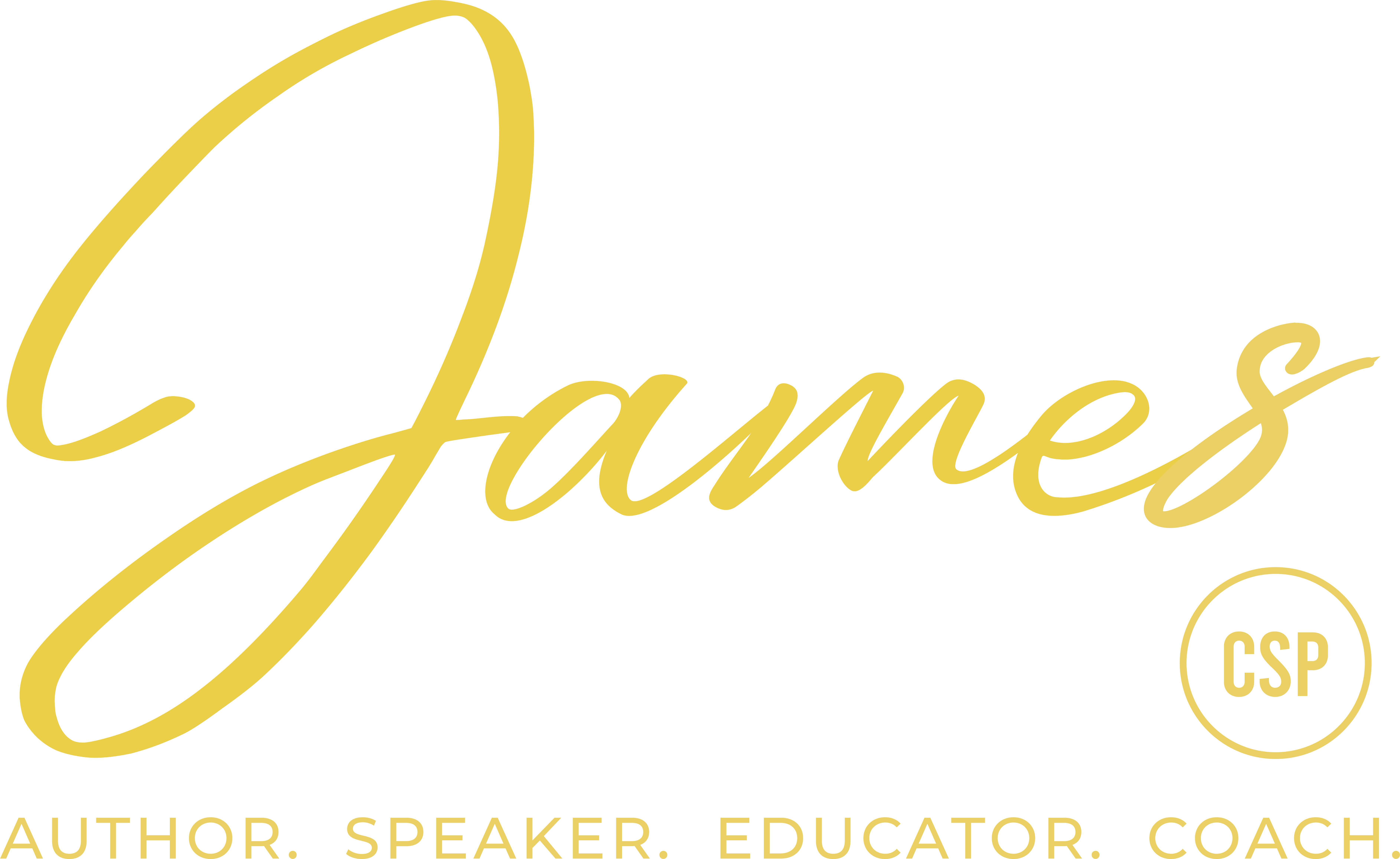 Dr. James Smith, Jr. - Professional training provider specializing in corporate training