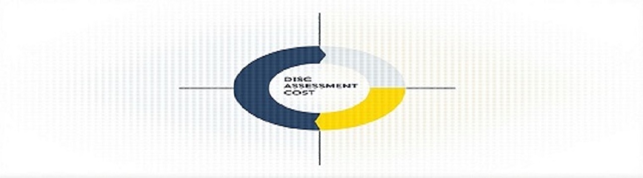 DISC Plus Profiles LLC - Professional training provider specializing in Consulting