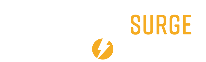 Leadership Surge - Professional training provider specializing in corporate training