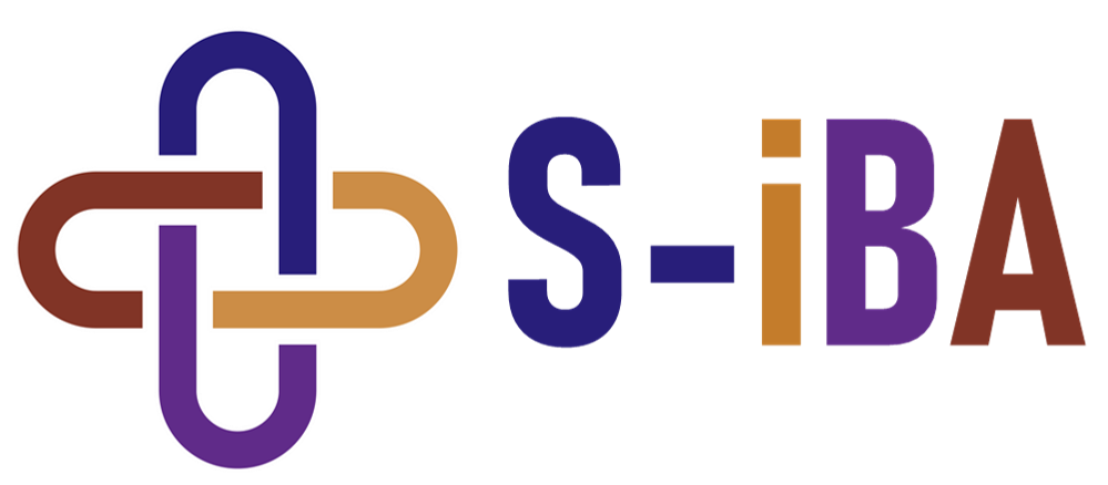 S-iBA Vision - Professional training provider specializing in Financials and Industrials