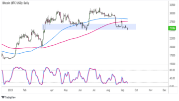 default-trainer-image