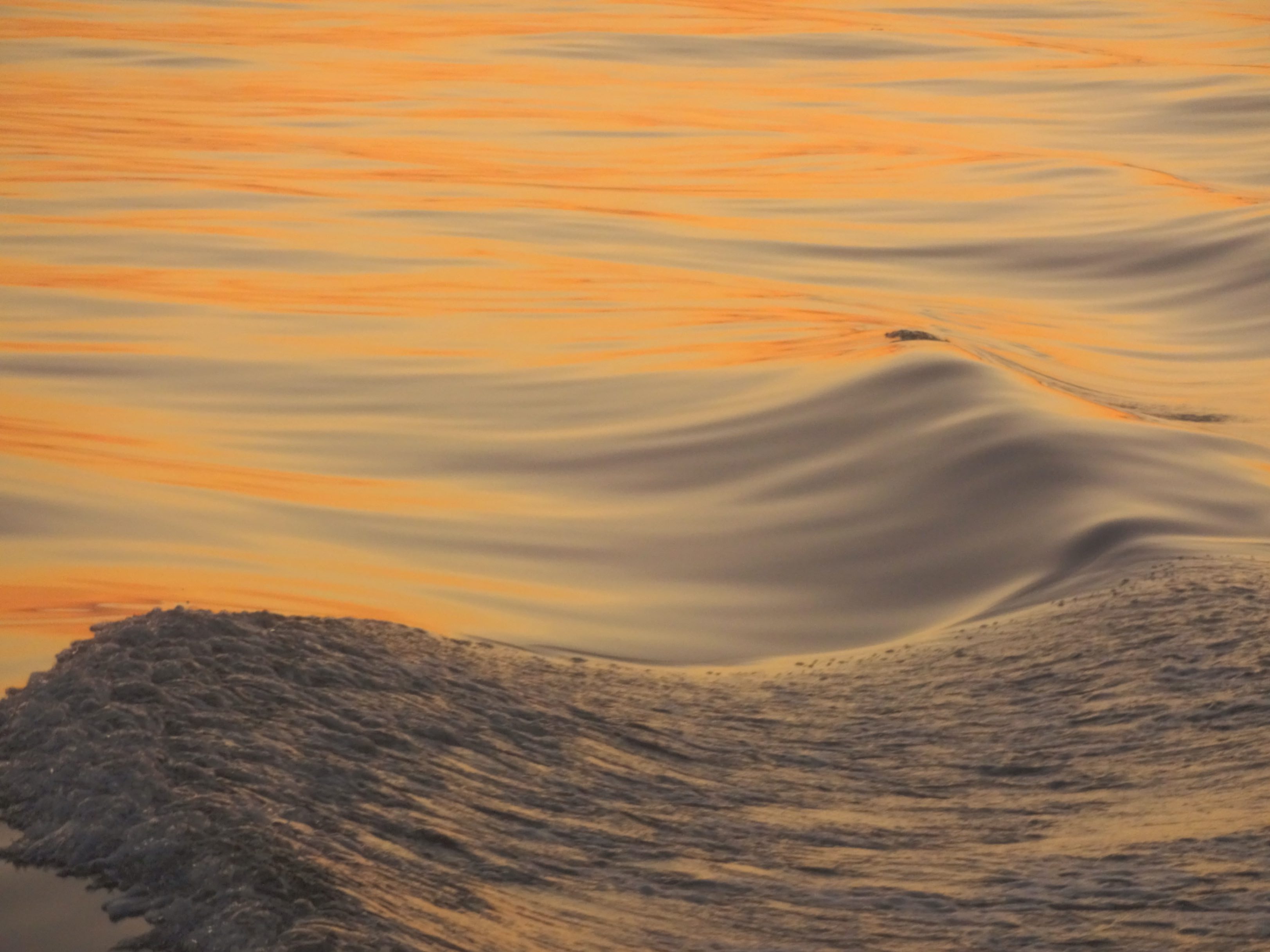 Training provider profile picture